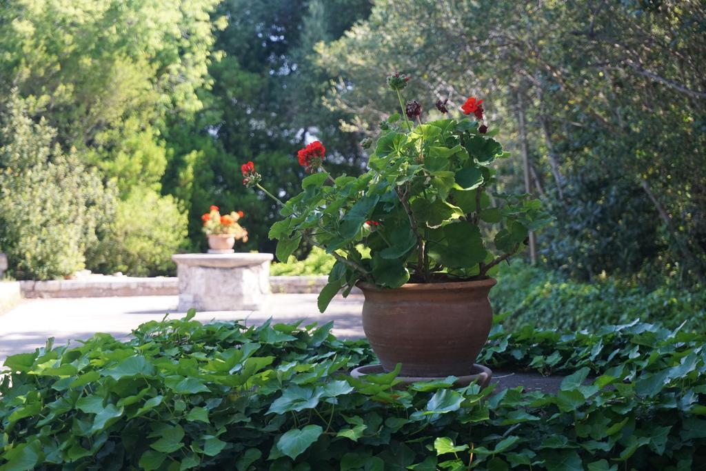 Finca Son Vivot Kültér fotó