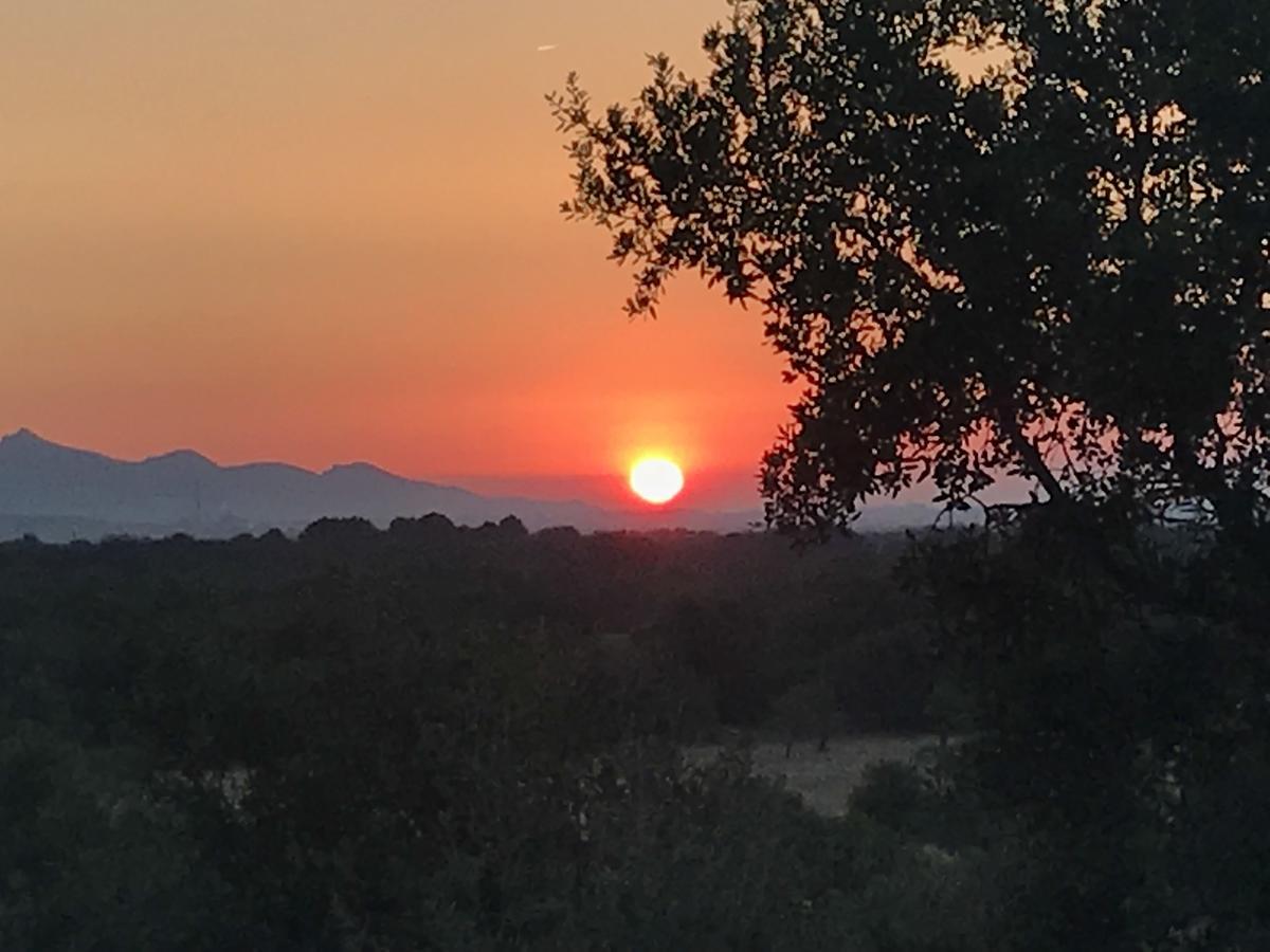 Finca Son Vivot Kültér fotó